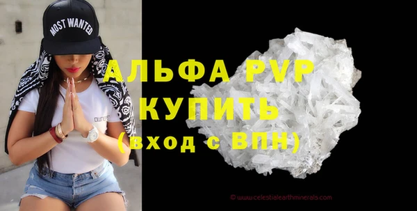 стаф Володарск