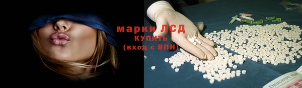 СК Волоколамск