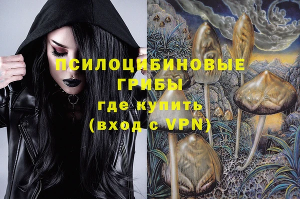 стаф Володарск