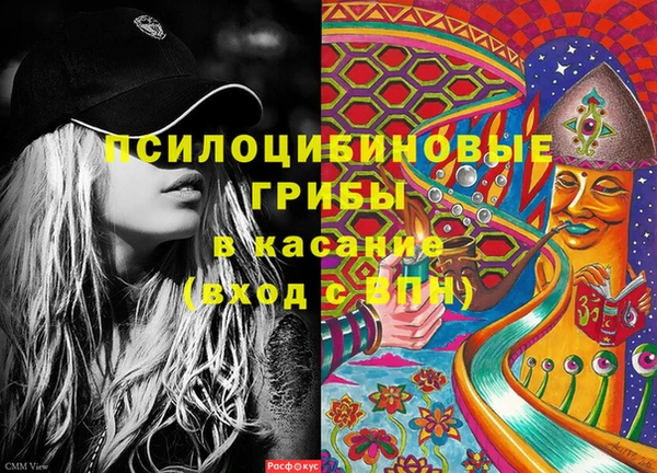 стаф Володарск