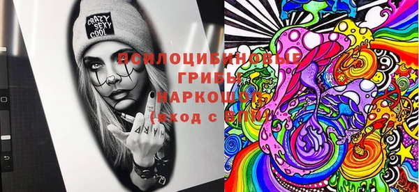 СК Волоколамск