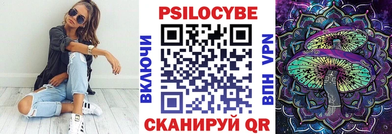 Псилоцибиновые грибы Psilocybe  сайты даркнета формула  Еманжелинск 